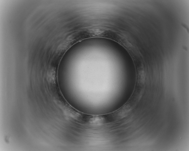 X0000102240274200807251306