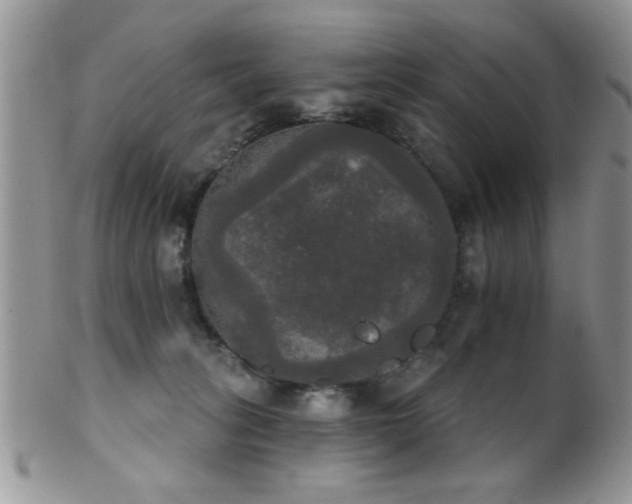 X0000102240275200807251306