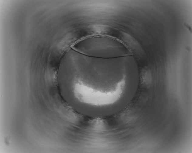 X0000102240276200807251306