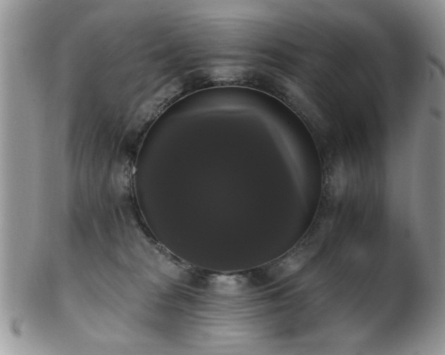 X0000102240277200807251306