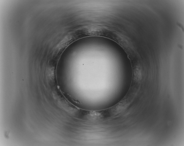 X0000102240278200807251306