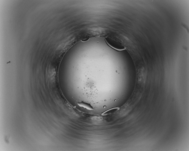 X0000102240279200807251306