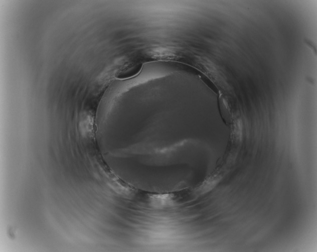 X0000102240281200807251306