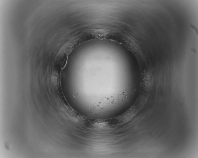 X0000102240283200807251306