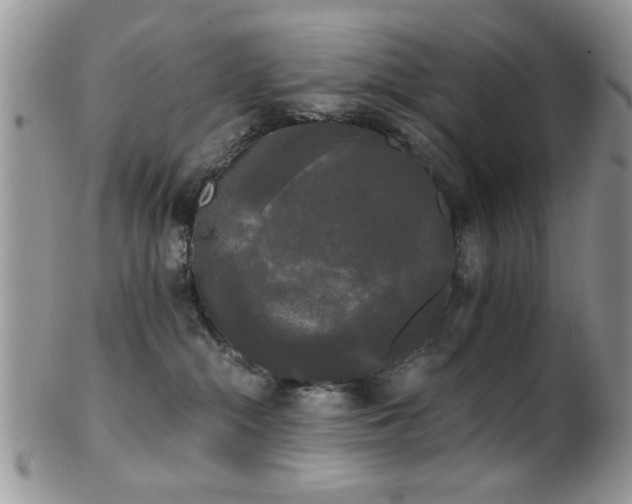 X0000102240284200807251306