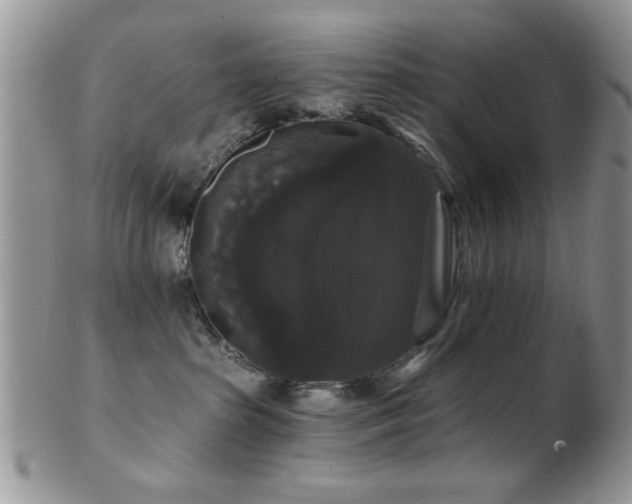 X0000102240285200807251306