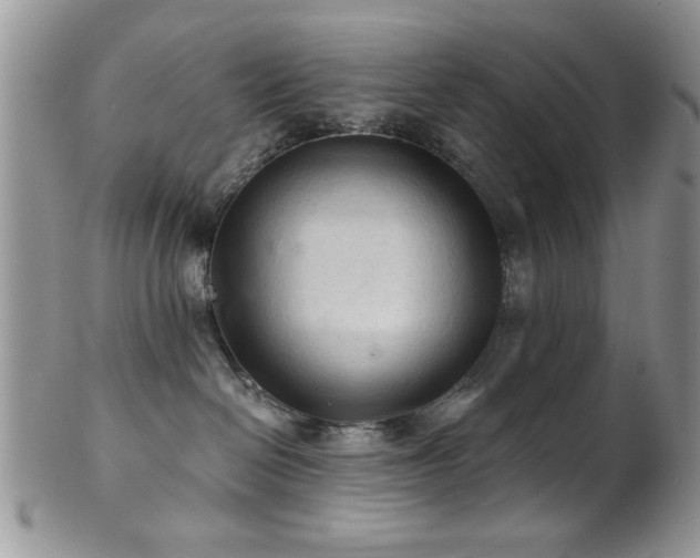 X0000102240286200807251306