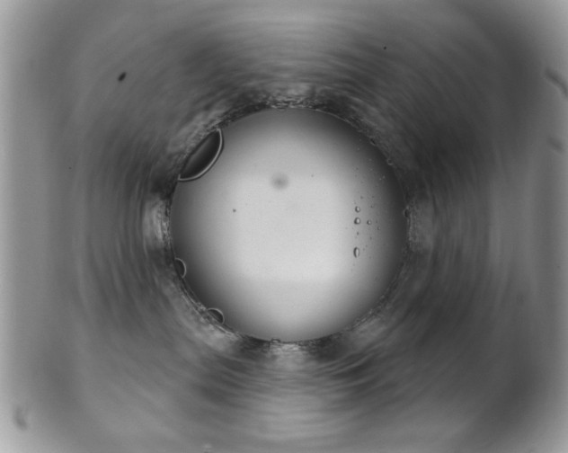 X0000102240287200807251306