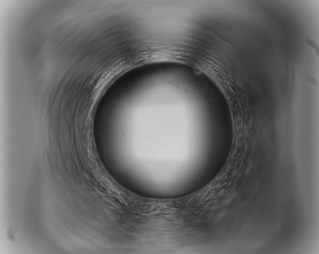 X0000102240289200807251306