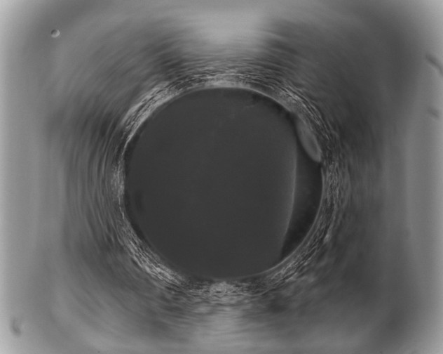 X0000102240290200807251306