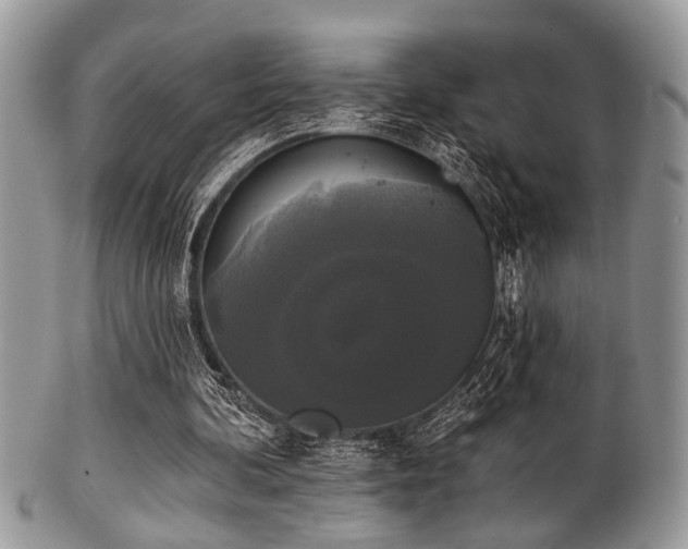 X0000102240292200807251306