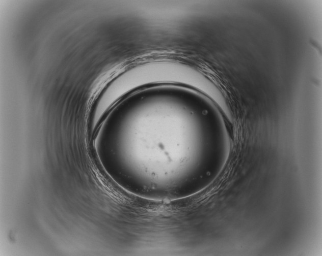 X0000102240293200807251306