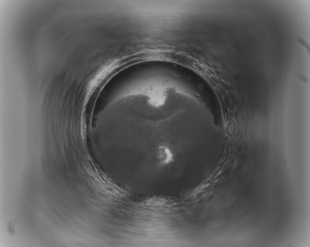 X0000102240294200807251306