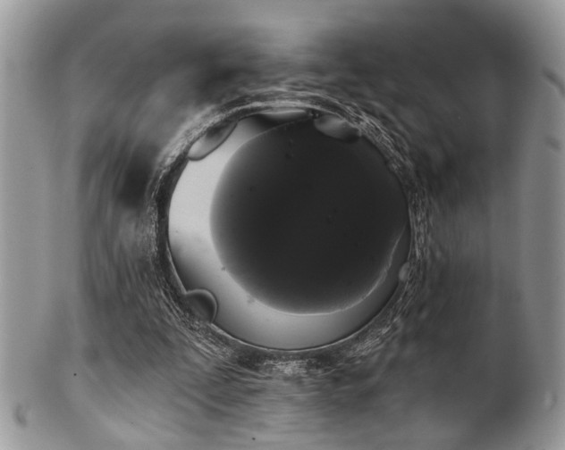 X0000102240295200807251306