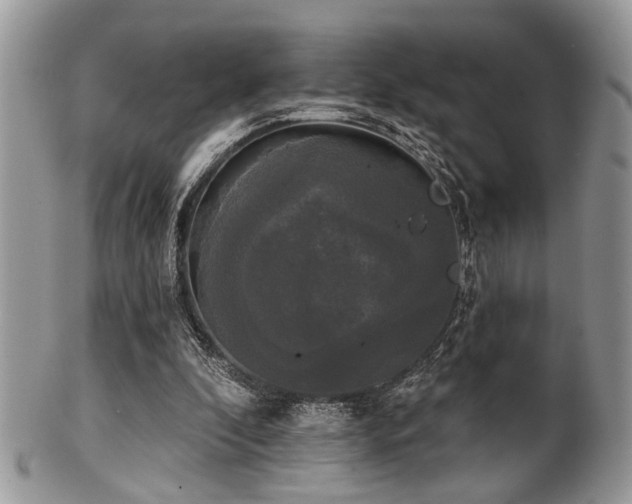 X0000102240296200807251306