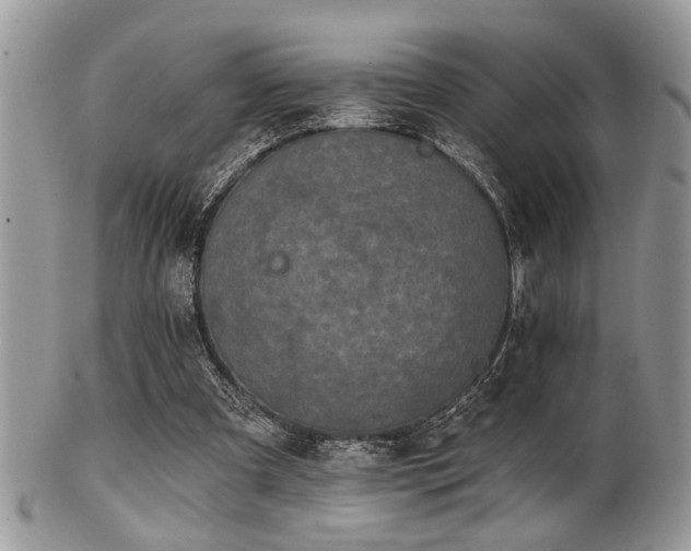 X0000102240297200807251306