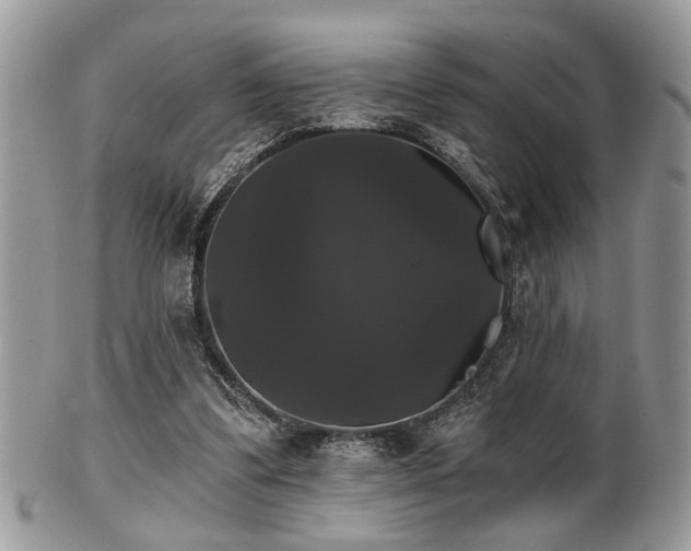 X0000102240299200807251306