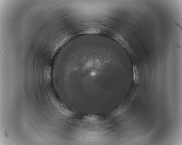 X0000102240300200807251306