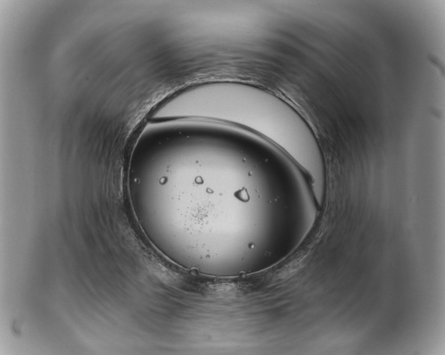 X0000102240301200807251306