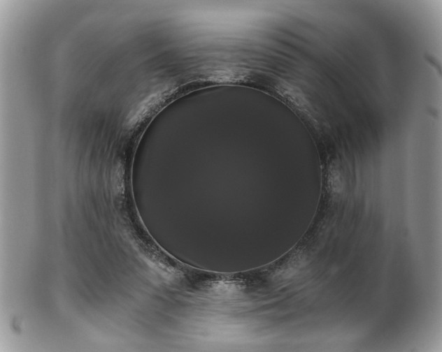 X0000102240303200807251306