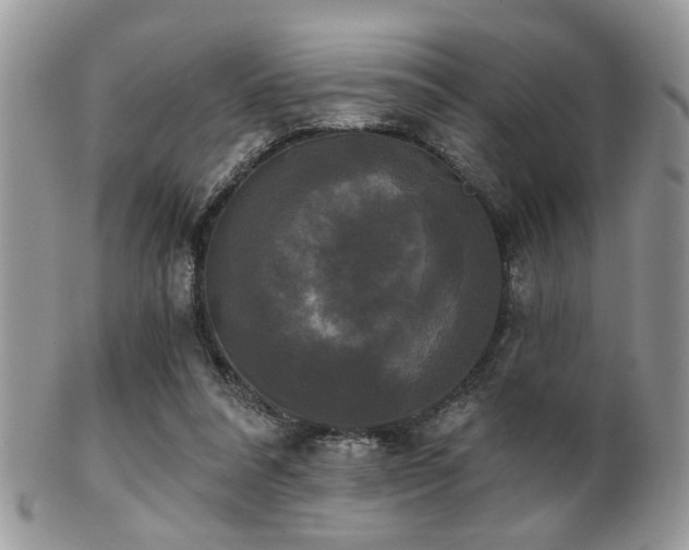 X0000102240304200807251306