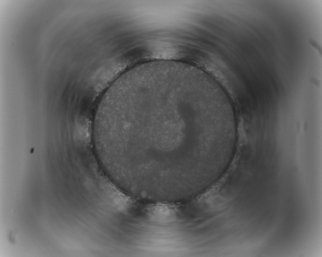 X0000102240305200807251306