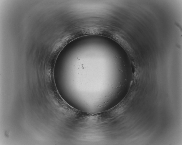 X0000102240306200807251306