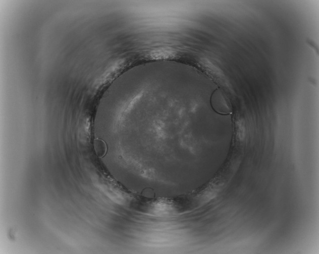 X0000102240308200807251305