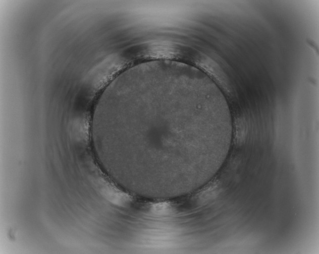 X0000102240309200807251305