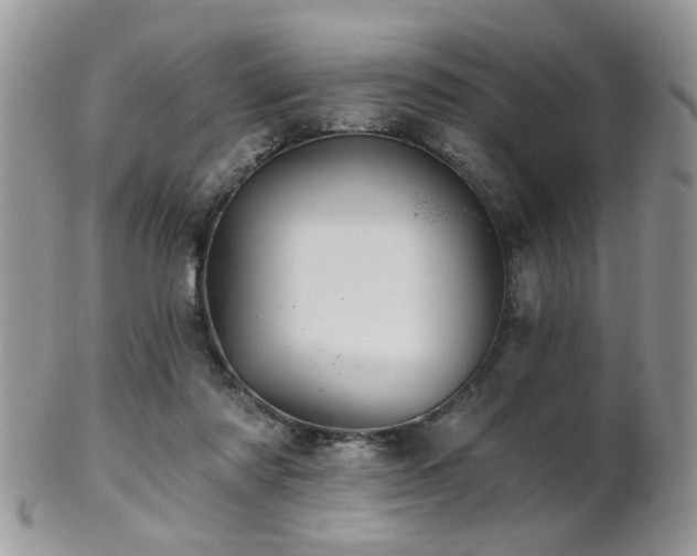 X0000102240310200807251305