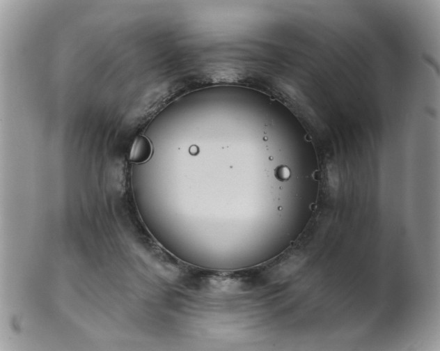 X0000102240311200807251305