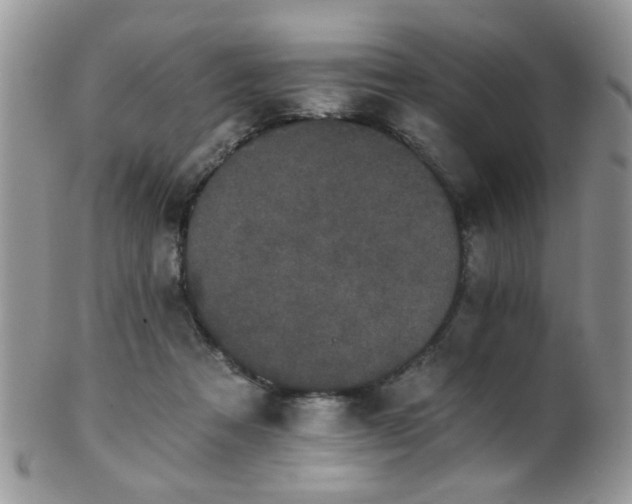 X0000102240313200807251305