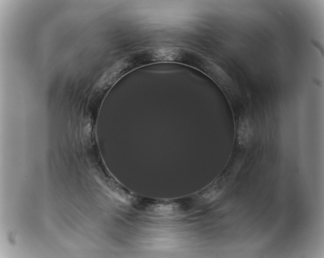 X0000102240314200807251305