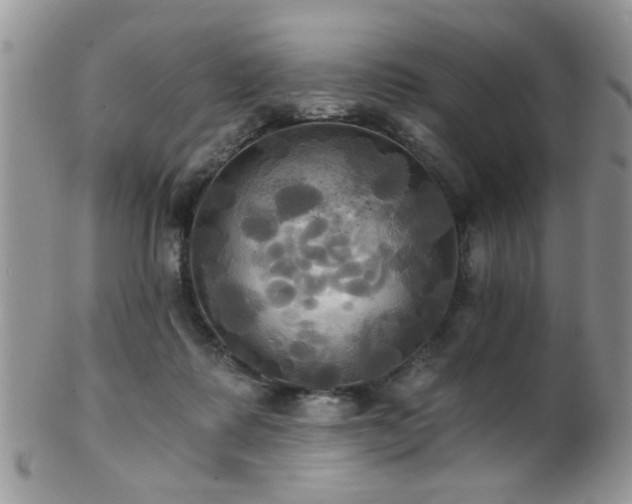 X0000102240315200807251305