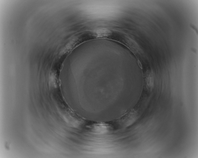 X0000102240316200807251305