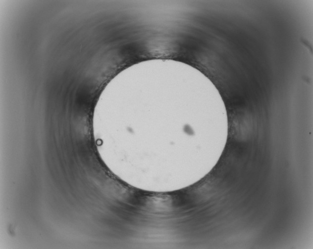 X0000102240317200807251305