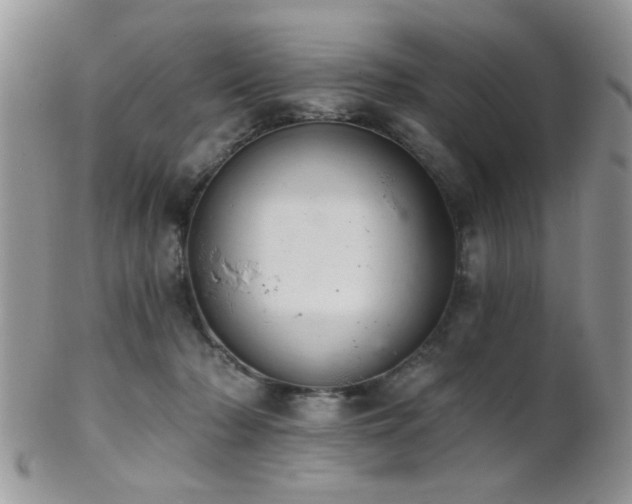 X0000102240318200807251305