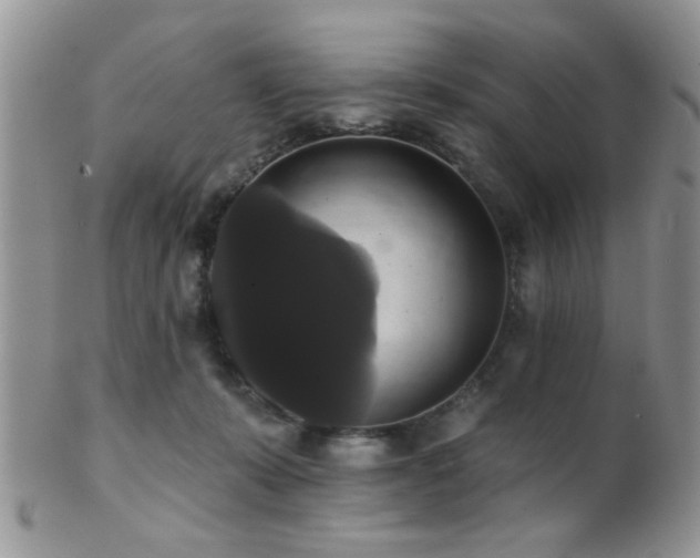 X0000102240319200807251305