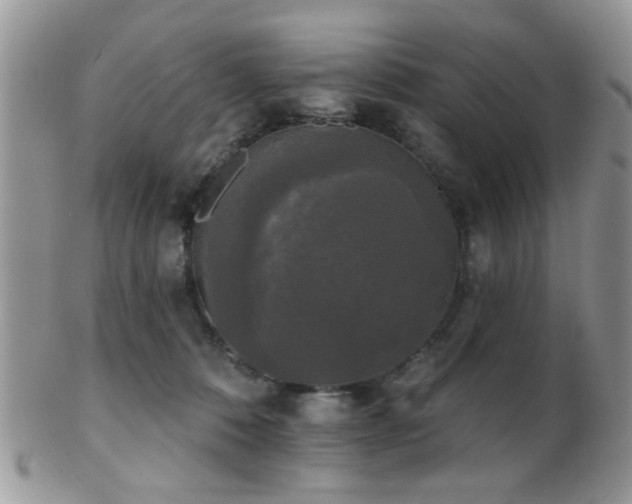 X0000102240320200807251305