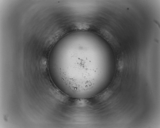 X0000102240321200807251305