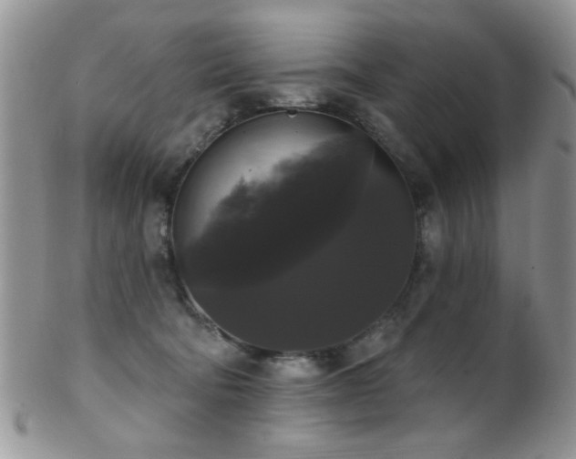 X0000102240322200807251305