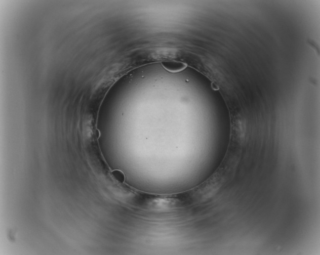 X0000102240323200807251305