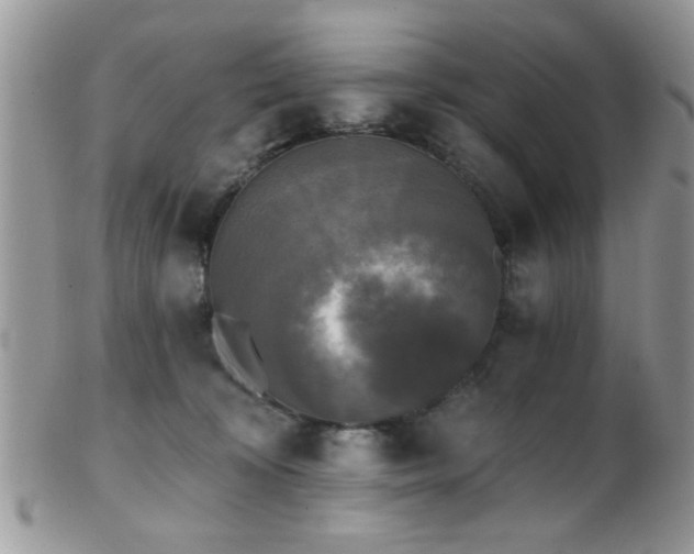 X0000102240324200807251305