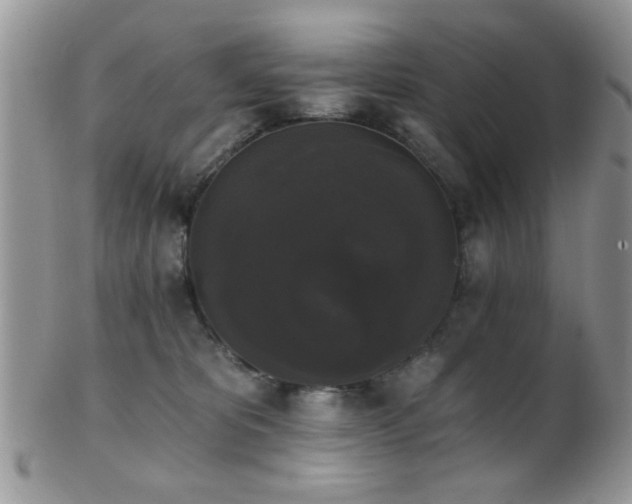 X0000102240325200807251305