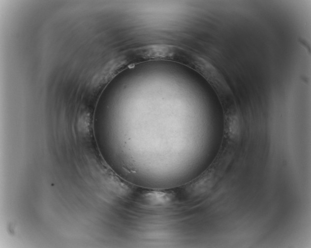 X0000102240326200807251305