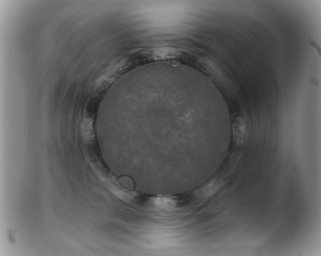 X0000102240327200807251305