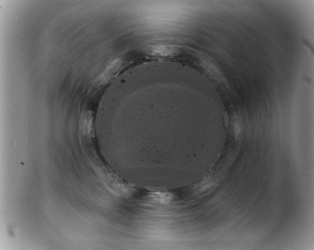 X0000102240328200807251305