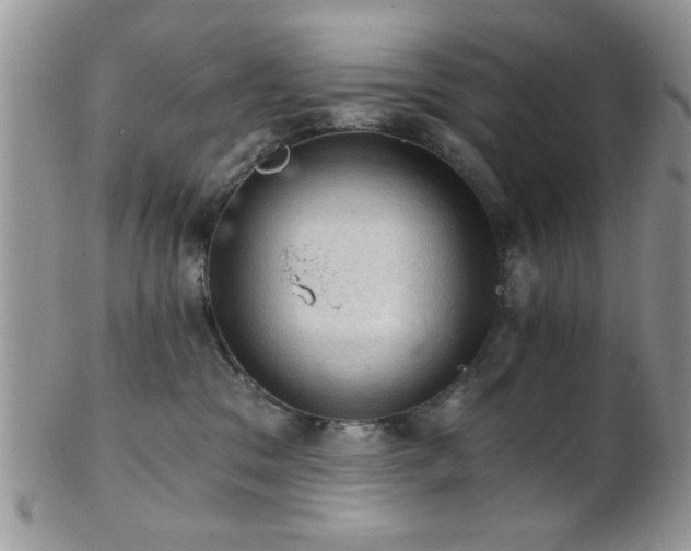 X0000102240329200807251305