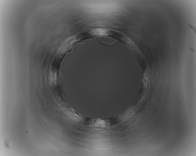 X0000102240330200807251305