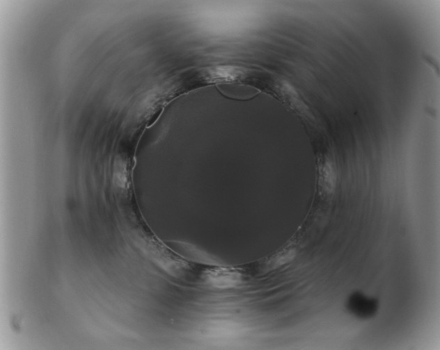 X0000102240331200807251305